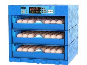 Generic 192 Eggs Capacity AC/DC Full Automatic Incubator