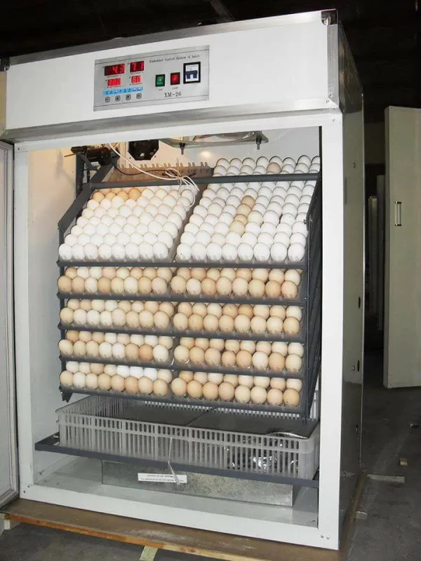 500 eggs automatic incubator