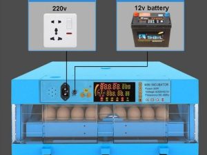 64 automatic egg incubator